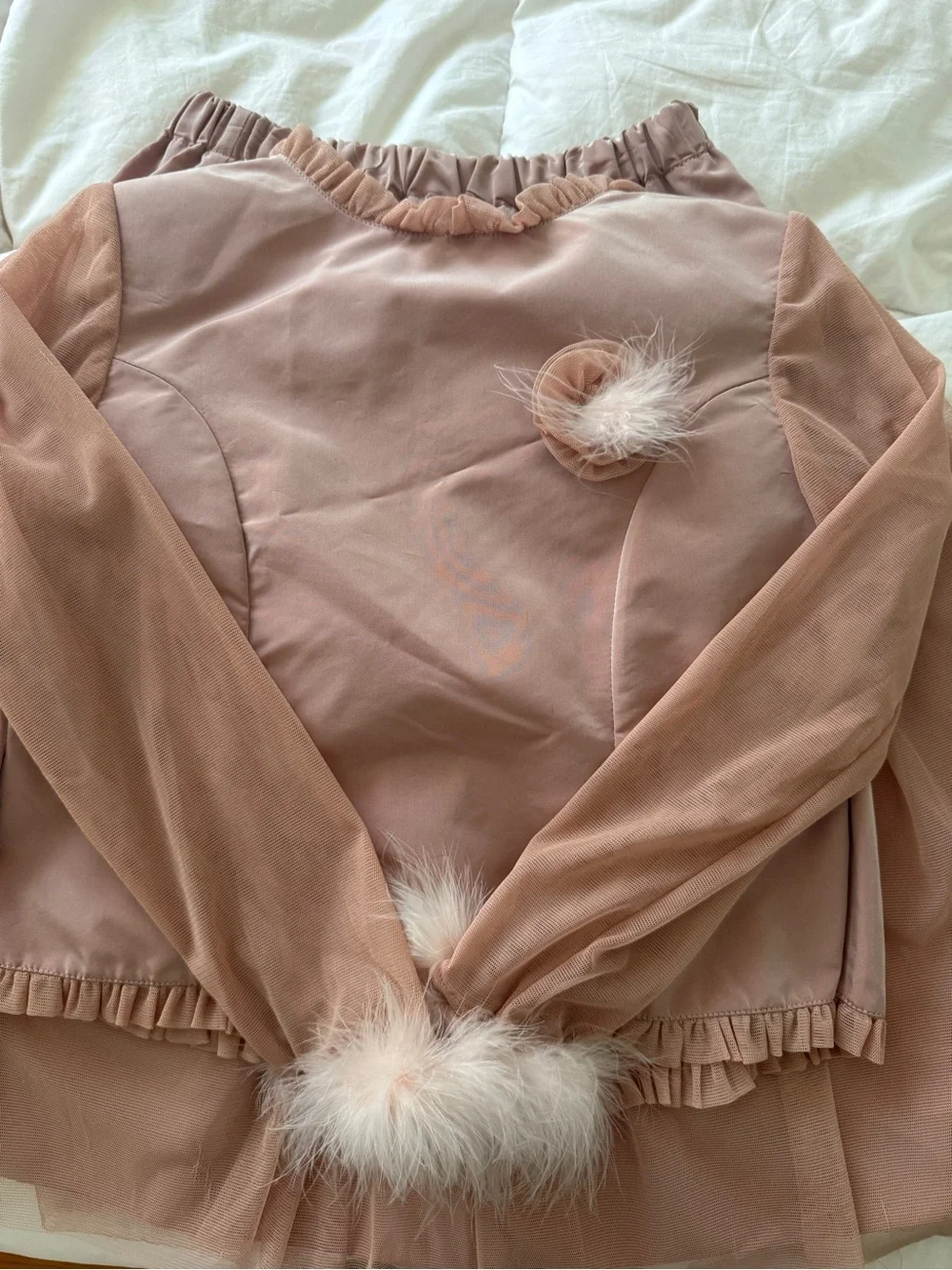 Girls' Dusty Pink Tulle Party Dress with Feather Accents